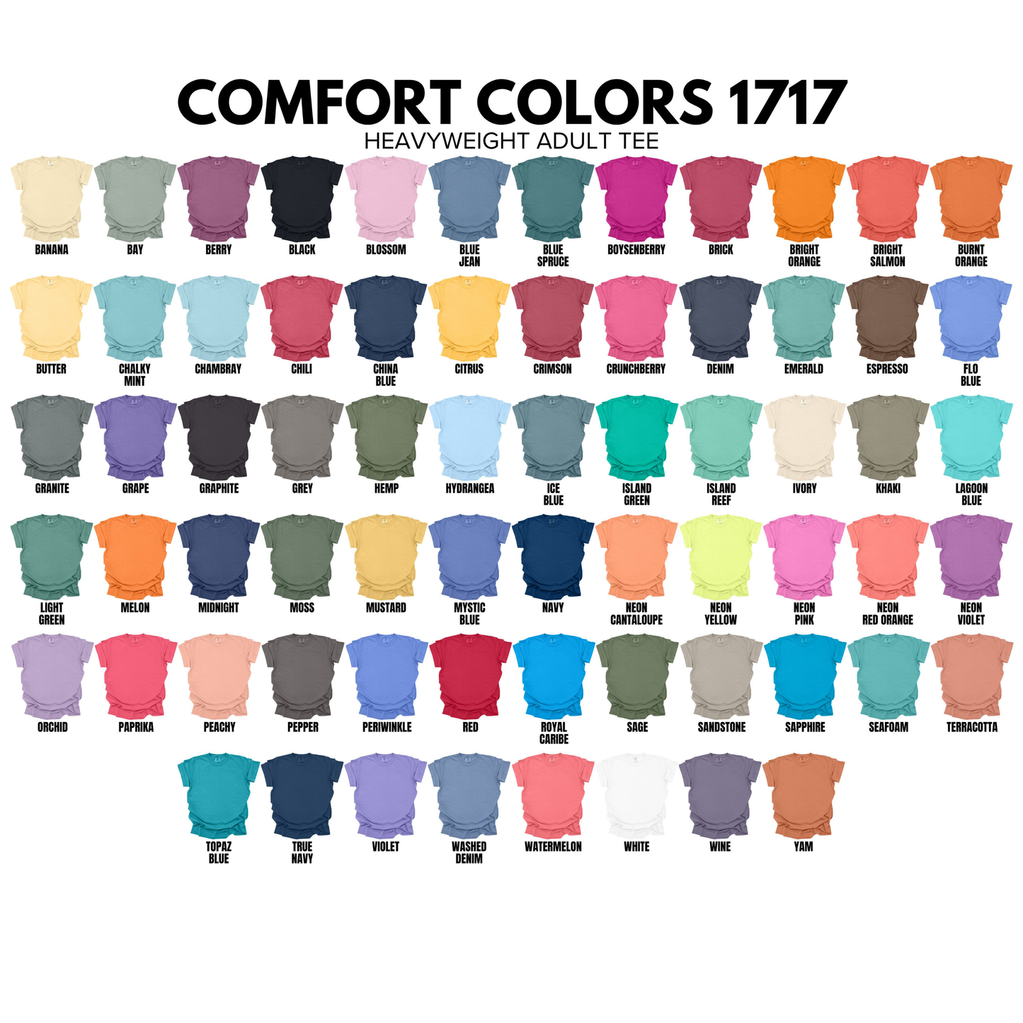 Teirness of the House of Obsidian Shirt - War of Lost Hearts